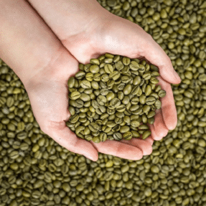 Coffee Green Beans Arabica